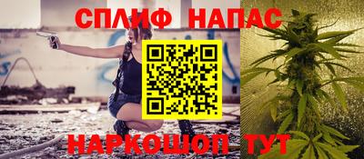 СК Апшеронск