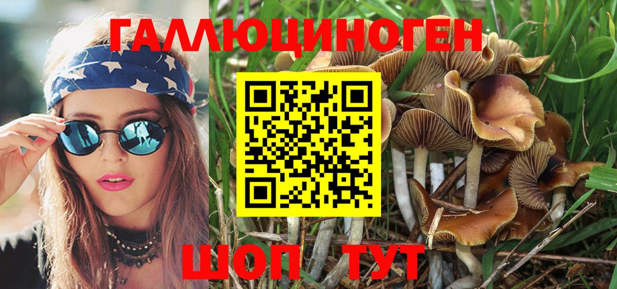 Галлюциногенные грибы Cubensis  Астрахань 