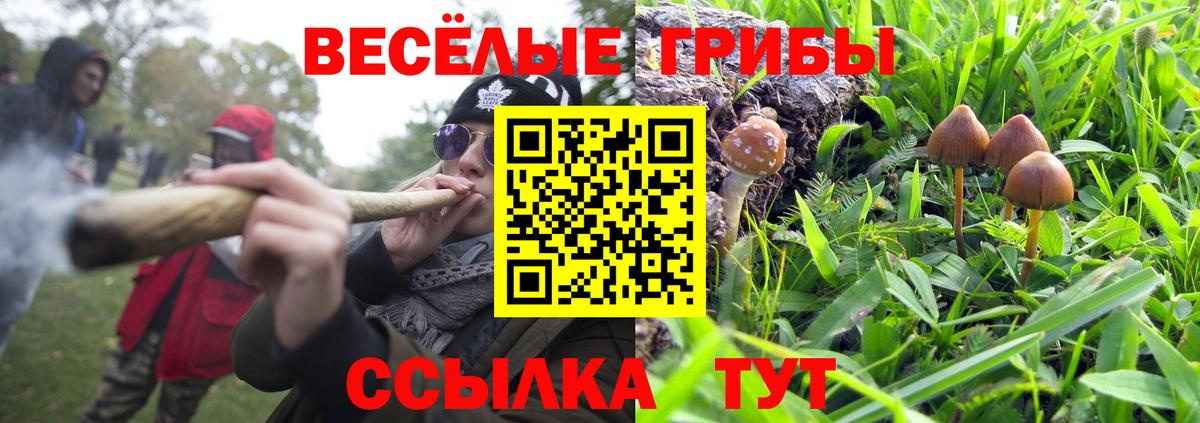 Астрахань  Галлюциногенные грибы мухоморы  Вход с VPN 