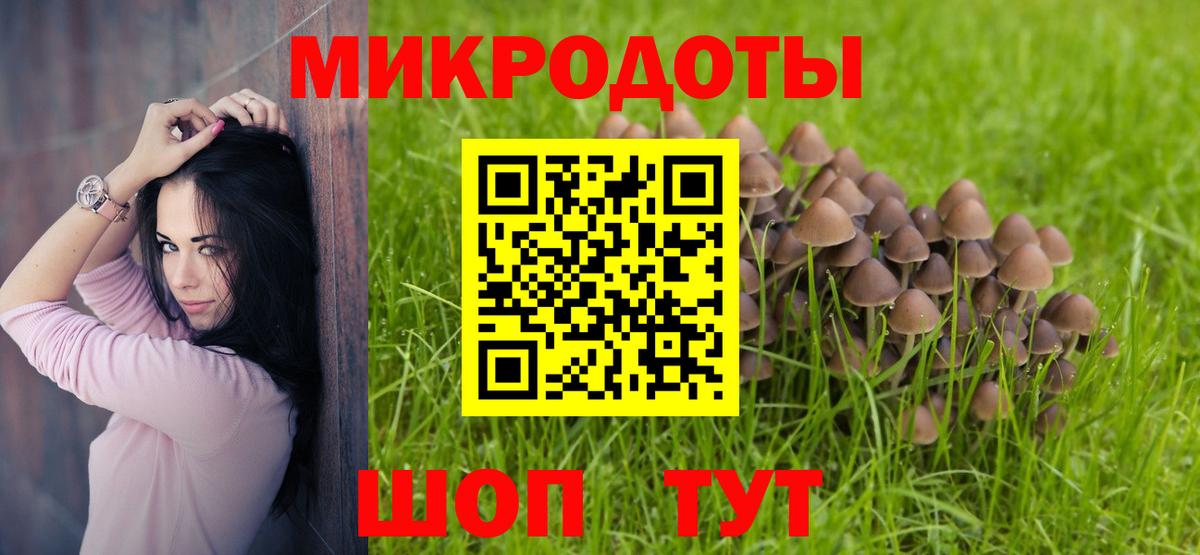 Псилоцибиновые грибы Cubensis Астрахань