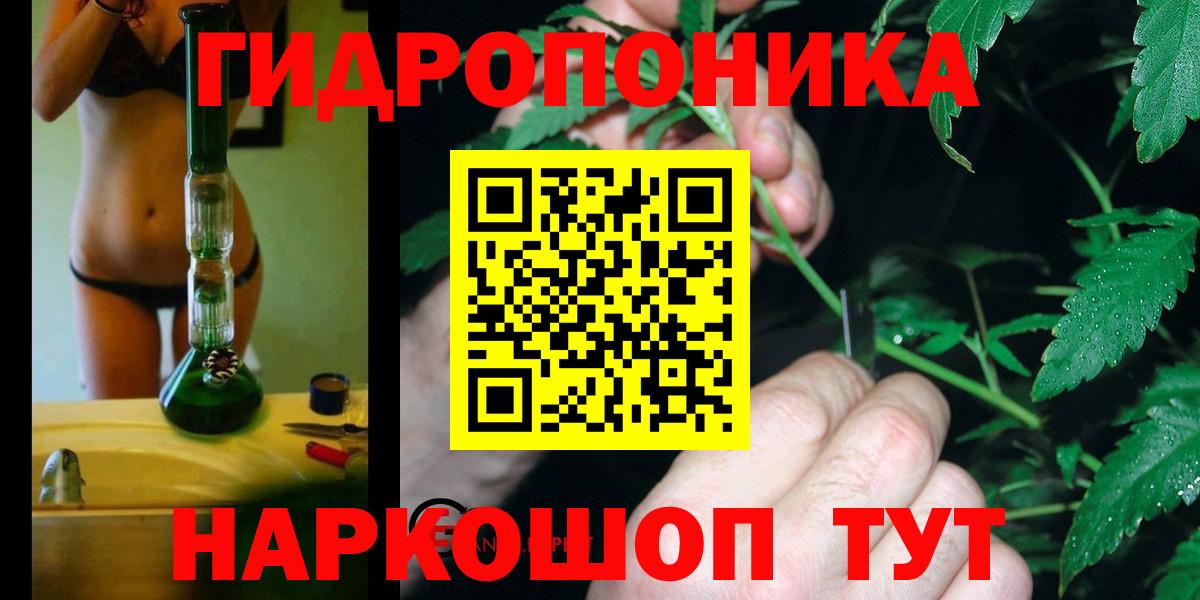 Бошки Шишки Ganja  Бошки Шишки план  Астрахань  МАРИХУАНА OG Kush 